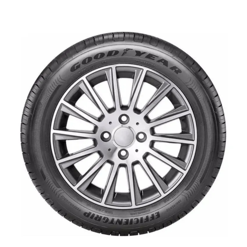 Pneu Goodyear Aro 15 Efficientgrip Performance 195/65R15 91H